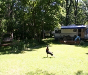 July4th2011 298